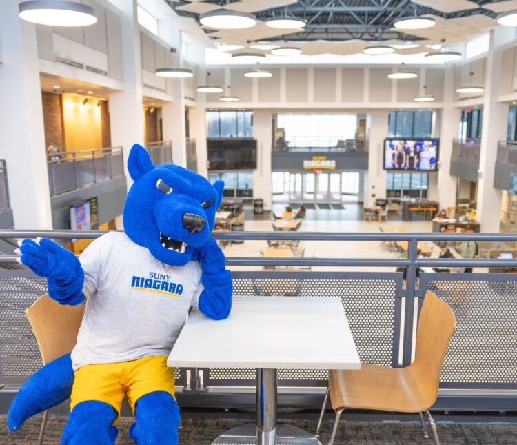 A blue wolf mascot wearing a SUNY Niagara shirt and yellow shorts sits at a table inside a spacious, modern building with large windows and open seating areas.