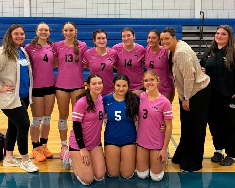 A volleyball team posing for a group photo on a court, with eight players in pink and blue jerseys and two coaches standing on the ends.